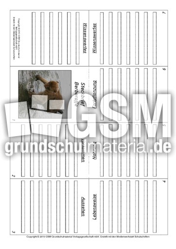 Faltbuch-Berberaffe.pdf